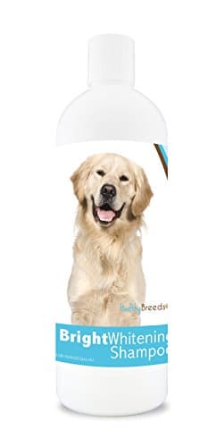 Healthy Breeds Golden Retriever Bright Whitening Shampoo 12 oz