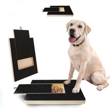 Dog Nail Scratch Board with Treat Drawer – Dog Nail Board Scratch Pad for Nails, Dog Treat Scratch Board, Durable Nail Filing Board + Replacement Sandpaper for All Breeds (No Bracket)
