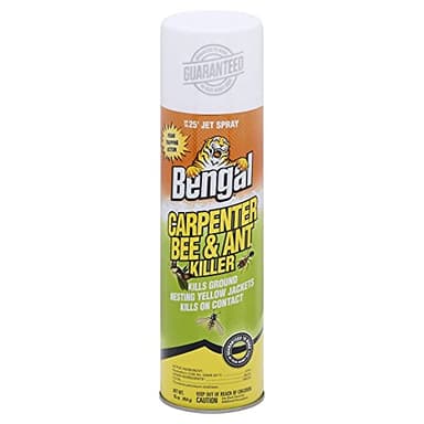 Bengal Products 16 oz. Carpenter Bee & Ant Killer