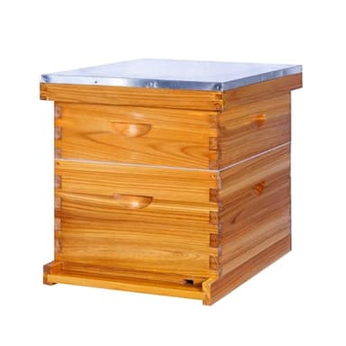 Honey Lake 10-Frame Beehives Starter Kit – Complete Langstroth Hive with 1 Deep Brood Box & 1 Medium Super, Beeswax-Coated, Includes Beehive Frames & Waxed Foundation Sheets