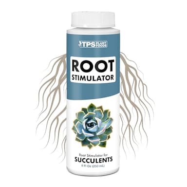 Root Stimulator for Succulents – Liquid Root Supplement with Kelp & Probiotics for Stronger Roots & Improved Water Efficiency, 8 oz