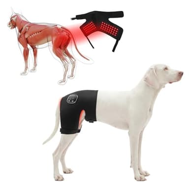 HAGGEMI Dog Hip Brace with Red Infrared Light Therapy – Pain Relief for Arthritis, Hip Dysplasia, Spine Issues & Muscle Recovery, Portable & Cordless, Patent Pending(Female Dog, XL)