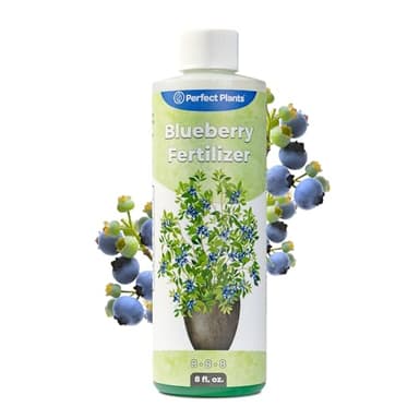 Liquid Blueberry Fertilizer by Perfect Plants | Berry Booster | Premium Fertilizer for Blueberries and Other Acidic Soil Fruiting Plants (8 fl oz)