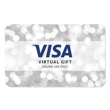 Visa Virtual $100 eGift Card (plus $5.95 Purchase Fee) - For Online Use Only