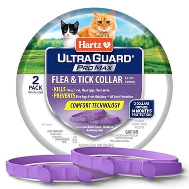 Hartz UltraGuard ProMax Flea & Tick Collar for Cats I 14 Months Protection I Soft & Comfortable | Flea & Tick Prevention I 2 Pack