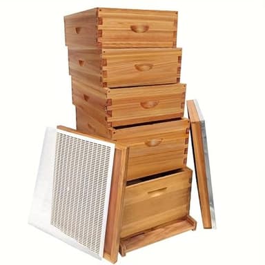 10 Frame 5-Layer Langstroth Beehive, 100% Beeswax Coated Bee Hive Includes 2 Deep Brood Bee Hives Box, 3 Medium Super Bee Box (No Frame)