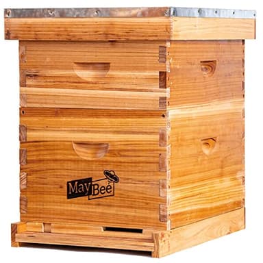 Beehive 10 Frame Bee Hives and Supplies Starter Kit, Bee Hive for Beginner, Honey Bee Hives Includes 1 Deep Brood Hive Box, 1 Bee Hive Super Box with Beehive Frames and Foundations