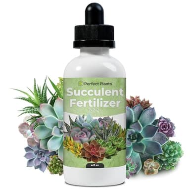 Succulent Fertilizer Drops by Perfect Plants | Best Liquid Plant Food for Succulents | Grow Bigger Cactus, Jade, and Christmas Cacti - Just Mix with Water (4 fl oz)