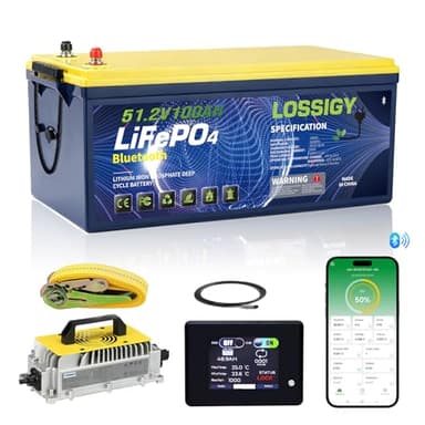 LOSSIGY 48 Volt Lithium Golf Cart Battery, 48V Golf Cart Battery Conversion Kit with Charger&LCD Monitor, Built in 200A Bluetooth BMS, Peak Current 1000A(3-5s), Prefect for Golf Cart RV Solar System
